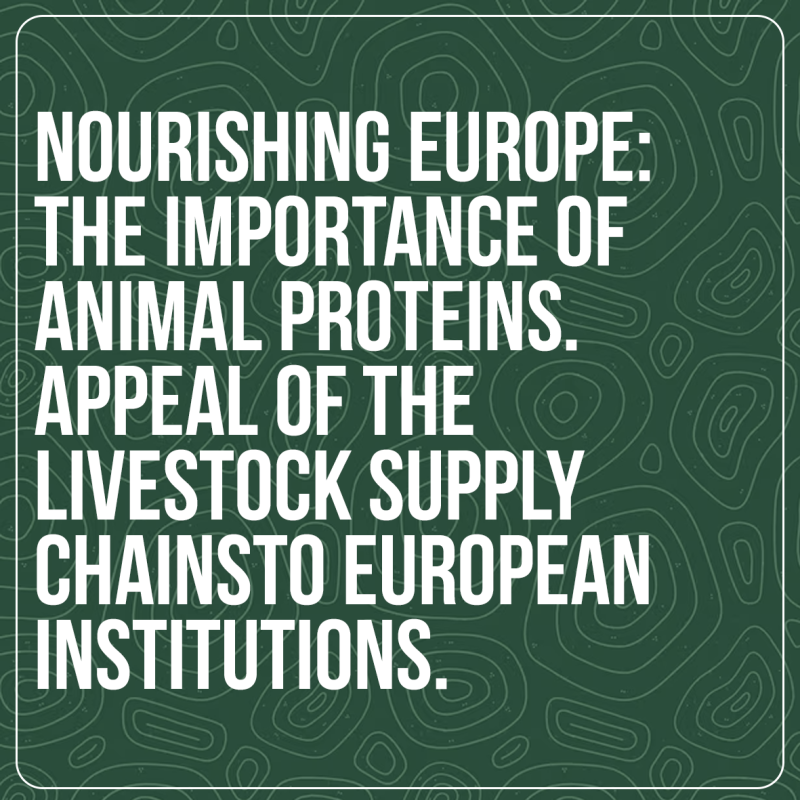 NUTRIRE L’EUROPA: L’IMPORTANZA DELLE PROTEINE ANIMALI. L’INTERESSE DELLE FILIERE ZOOTECNICHE PER LE IMPRESE EUROPEE