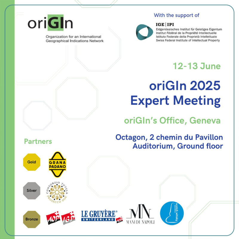 ORIGIN 2025 EXPERT MEETING – GINEVRA