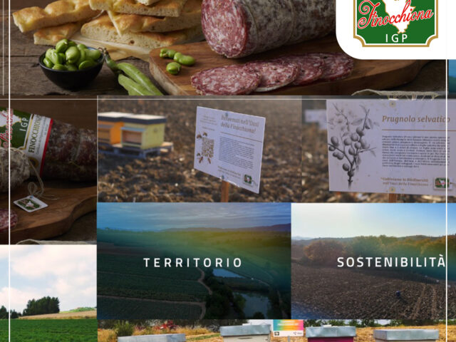 LA FINOCCHIONA IGP PROTAGONISTA IN TV TRA RICETTE, SOSTENIBILITÀ E CELEBRAZIONE DEI DIECI ANNI DEL CONSORZIO DI TUTELA