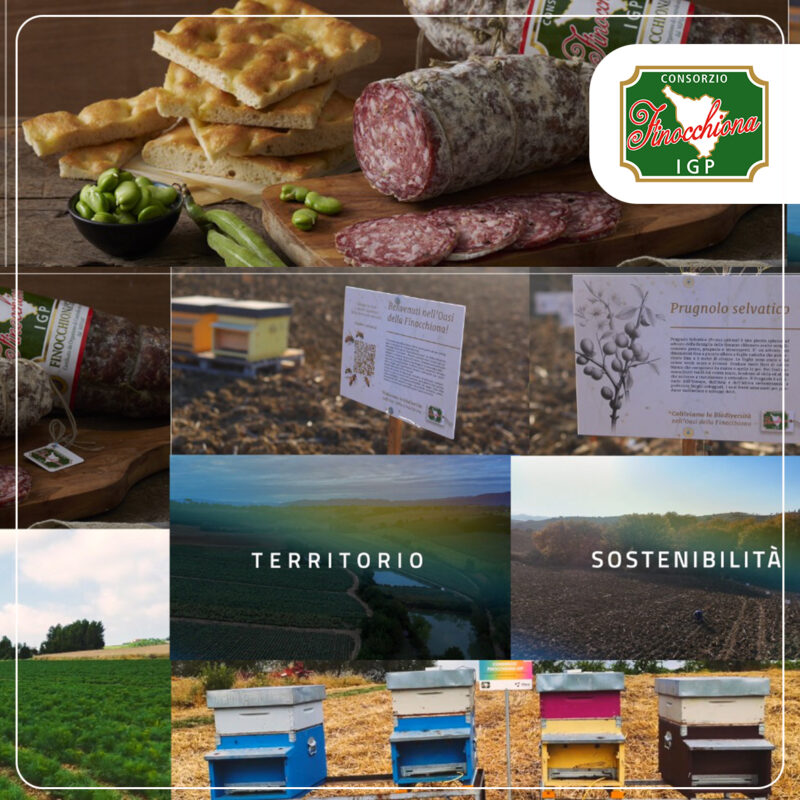 LA FINOCCHIONA IGP PROTAGONISTA IN TV TRA RICETTE, SOSTENIBILITÀ E CELEBRAZIONE DEI DIECI ANNI DEL CONSORZIO DI TUTELA