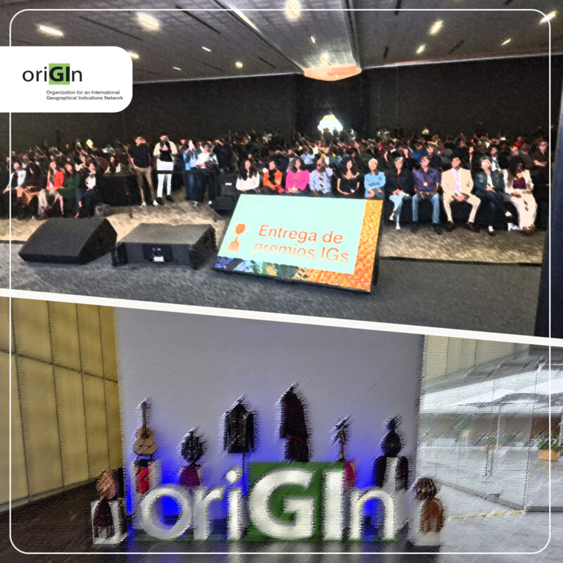 ASSEMBLEA BIENNALE ORIGIN INTERNATIONAL 2025