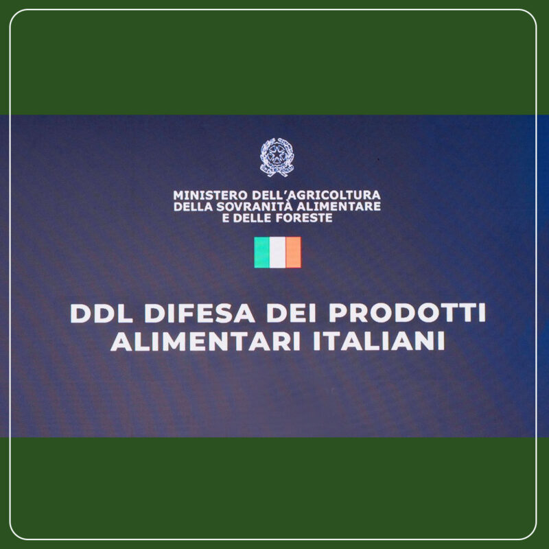 DDL SULLA TUTELA DEI PRODOTTI AGROALIMENTARI   